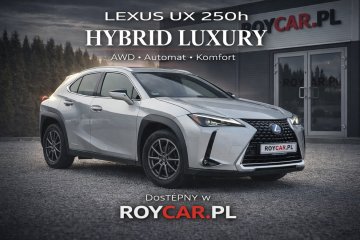 Pierwszy właściciel serwisowany