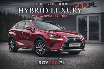 Lexus NX 300h E-FOUR Business Edition