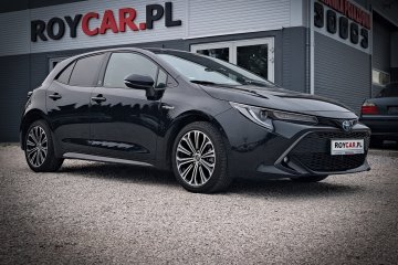 Hybrid team deutschland edition